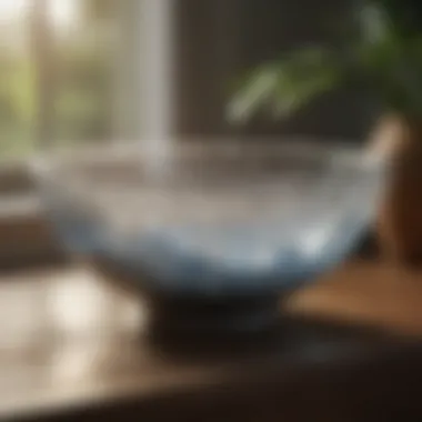Natural Techniques for Humidity Management Natural remedies for humidity control like bowls of water and salt.