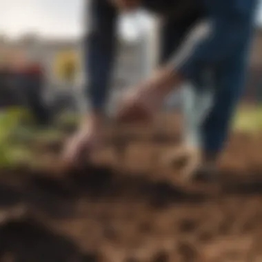 Soil Quality Inspection A farmer inspecting soil quality in an urban agricultural setting.