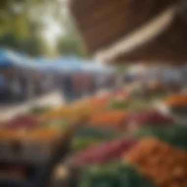 A community farmer's market showcasing local goods