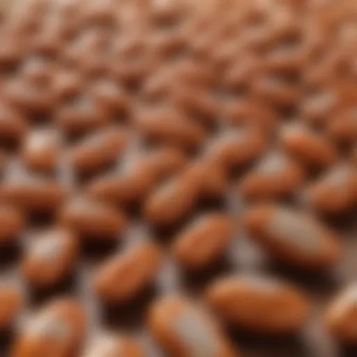 A close-up view of Fishmox capsules displayed on a wooden surface