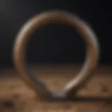 A variety of modern horseshoes showcasing innovative designs and materials