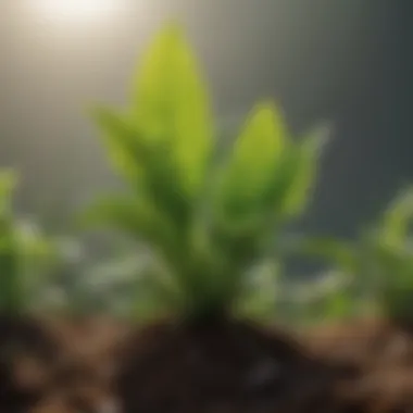 Effects of Acidification on Plant Growth Graph illustrating the effects of acidification on plant growth