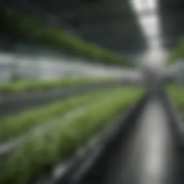 Diverse Hydroponic Systems Overview of various hydroponic systems, including NFT and DWC.