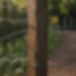 Close-up of a portable electric fence post showcasing its features