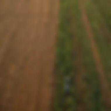 Aerial view of vast agricultural fields with a diverse crop rotation