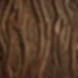 A detailed view of reclaimed wood showcasing its unique grain patterns