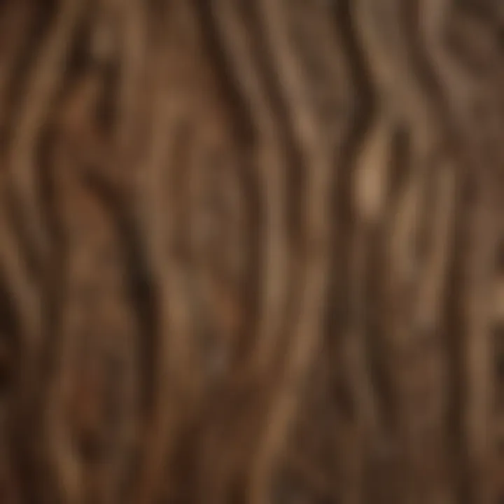 A detailed view of reclaimed wood showcasing its unique grain patterns