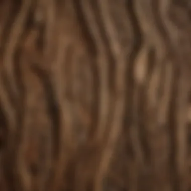 Unique Grain Patterns of Rhine Reclaimed Wood A detailed view of reclaimed wood showcasing its unique grain patterns