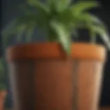 Close-up view of self-watering fabric pot showcasing its unique material and design