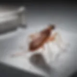 Close-up of Sentry flea and tick control product packaging