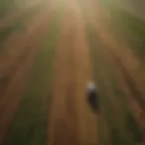 Aerial view of vast agricultural fields showcasing crop diversity