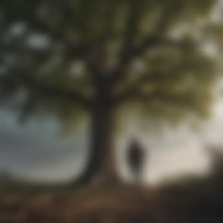 Tree health assessment by a certified arborist in a storm-affected area