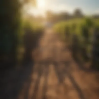 Optimizing Farm Pricing Strategies Strategies for optimizing farm gate pricing