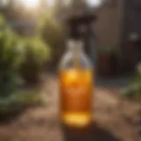 Detailed view of Talstar Yard Spray bottle showcasing its features
