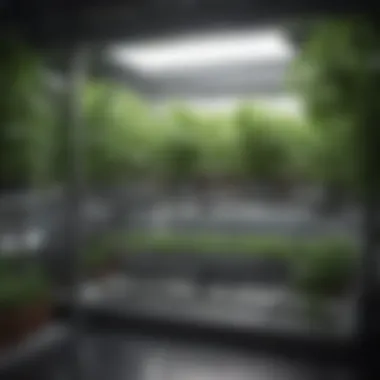 Advanced Hydroponic Technology Technological integration in hydroponics, featuring sensors and automation.
