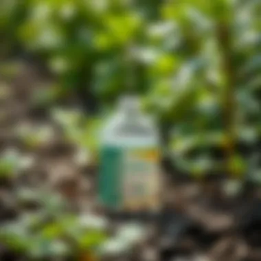 Illustration of the nutritional benefits of liquid fertilizers