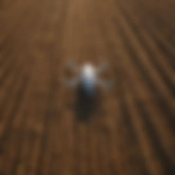 Advanced farming technology in use, featuring drones monitoring crop health.