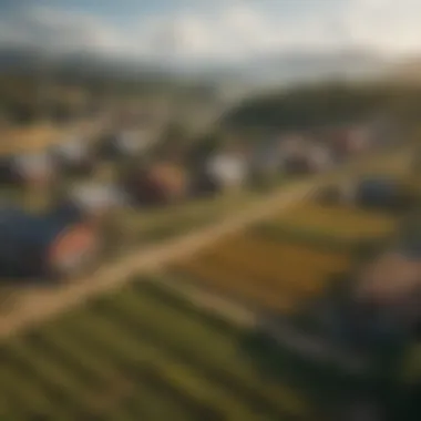 Rural Community Growth A rural community benefiting from GMO adoption
