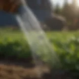 Innovative hose nozzle designed for heated water application in agriculture