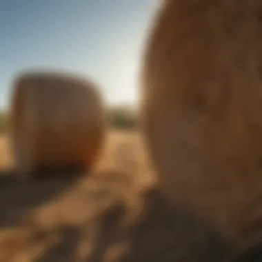 Innovative Design of a Stabilizer Hay Bale Spear Innovative design of a stabilizer hay bale spear