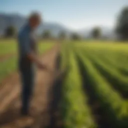 Vibrant crops thriving under sustainable farming practices