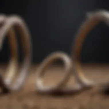 Comparison of traditional and modern horseshoes side by side