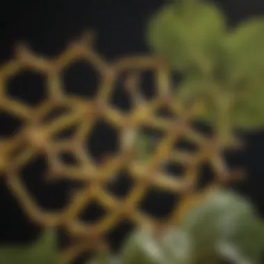 Chemical Structure of Biodiesel Chemical structure of biodiesel derived from cooking oil