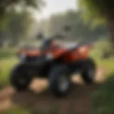 Understanding 80cc ATVs: Availability, Features, and Considerations for Purchase Introduction