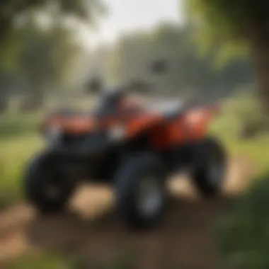 Understanding 80cc ATVs: Availability, Features, and Considerations for Purchase Introduction