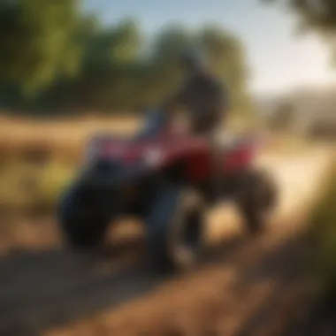 Understanding 80cc ATVs: Availability, Features, and Considerations for Purchase Summary