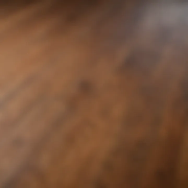 A close-up view of a wood floor showing the texture and grains after refinishing