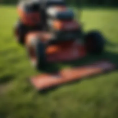 Comparing Lawn Mower Blades Selection of lawn mower blades with quality comparison