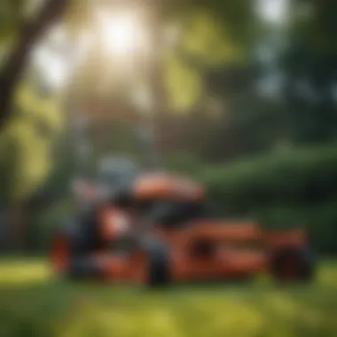 Lawn Mower Maintenance Tips Diagram illustrating maintenance tips for lawn mower longevity