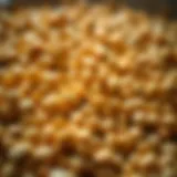 Detailed view of seeds treated with chemical solutions