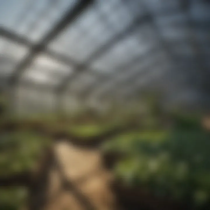 Variety of materials used in greenhouse construction