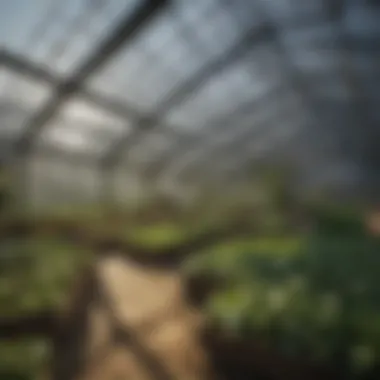 Diverse Materials for Greenhouse Construction Variety of materials used in greenhouse construction