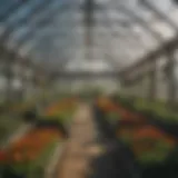 Overview of a commercial greenhouse structure