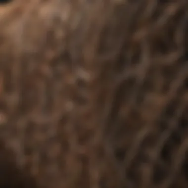 Close-up of a deer fence roll showcasing its texture and material