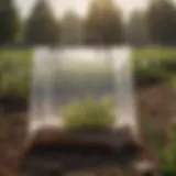 Innovative design of a disposable big bag fly trap in an agricultural setting.
