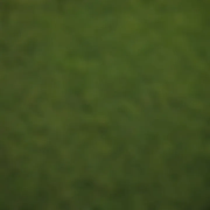 An aerial shot of a lawn with patches of dormant grass contrasted with healthy green areas.