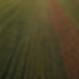 Aerial view of expansive farmland showcasing diverse crops