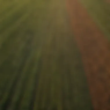 Aerial view of expansive farmland showcasing diverse crops