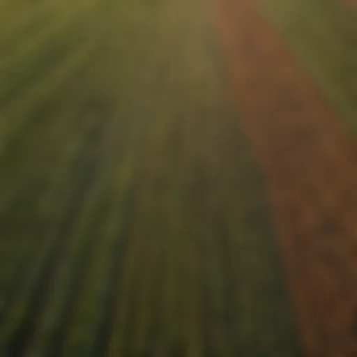 Aerial view of expansive farmland showcasing diverse crops