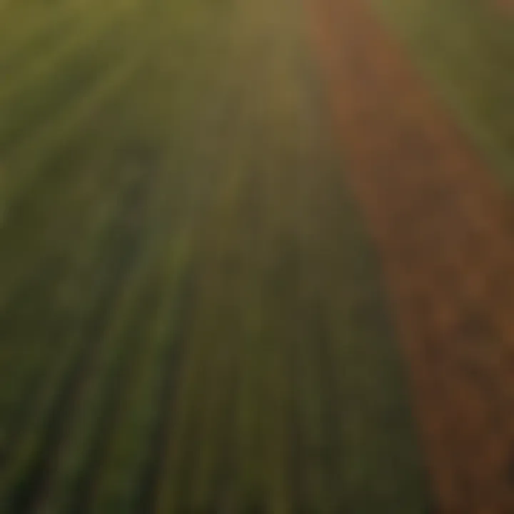 Aerial view of expansive farmland showcasing diverse crops