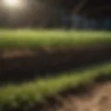 Overview of fertilizer types for grass seed