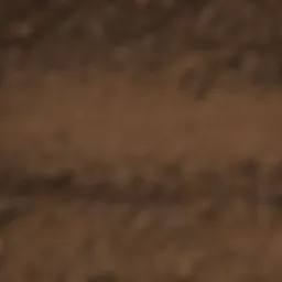 Detailed view of groundswell soil showcasing its diverse layers and textures