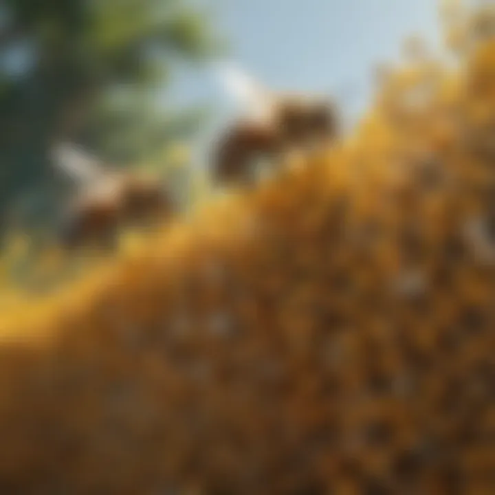 Honeybee headers in their natural habitat, emphasizing their ecological significance.