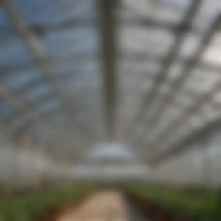 Industrial ceiling heater in a greenhouse setting