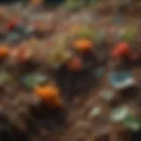 Diverse microbial life in soil