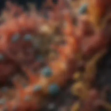 Microscopic view of bacteria